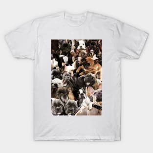French Bulldogs T-Shirt